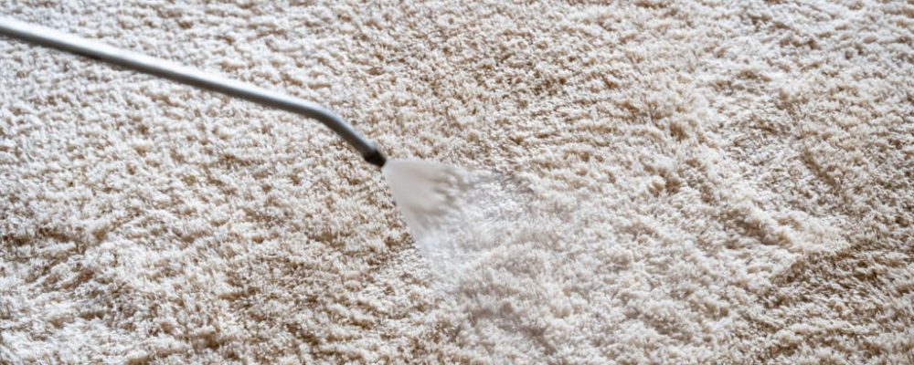 steam solution spraying